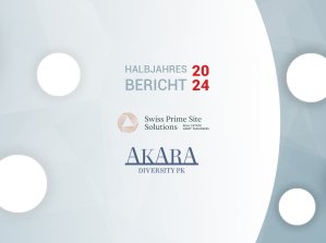 Kennzahlen und Performance 2024 des AKARA Diversity PK Fund (SPSS)