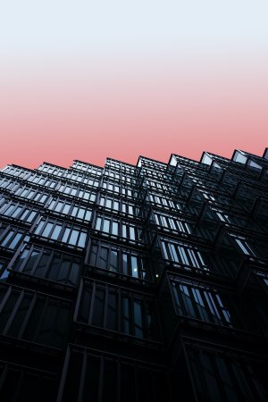 wipswiss : eine Plattform zum Netzwerken und für den Fach- und Erfahrungsaustausch