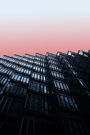 wipswiss : eine Plattform zum Netzwerken und für den Fach- und Erfahrungsaustausch