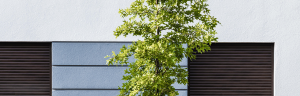 Die Verpflichtung zu Transparenz und strengen Umweltindikatoren für die Immobilienbranche