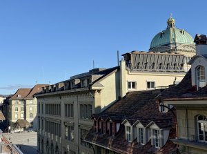 Die Immobilienwirtschaft im Regulierungswind