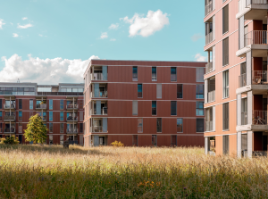 Selbstregulierung im Fokus: Neue Standards für nachhaltige Immobilienfonds