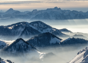 SECA: Investments in Alternative Anlagen - Fondsstrukturen vs. Deal-by-Deal Strategien