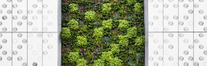 361 millions de francs de subventions pour le durable en 2021