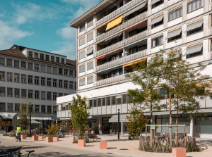 À Genève, les milieux immobiliers perdent contre l'Asloca
