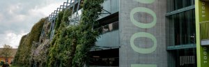 Les fonds suisses alémaniques obtiennent en moyenne les meilleurs résultats selon le nouveau classement ESG de l'UNIL