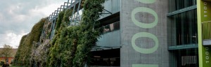 Les fonds suisses alémaniques obtiennent en moyenne les meilleurs résultats selon le nouveau classement ESG de l'UNIL
