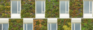 Quelle a été la durabilité des fonds immobiliers en 2022?