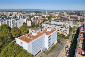«TrustStone possède un beau portefeuille, avec un fort potentiel sous-exploité»