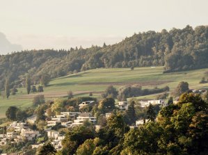 Aujourd'hui, il est plus rentable de garder ses terrains à bâtir que de les construire